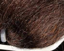 Fine Trilobal Wing Hair, Dark Brown